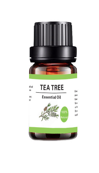 10ML Aromatherapy Water Soluble Essential Oil Plant Diffuse